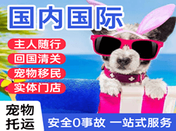 潮汕机场托运国际宠物托运 【国